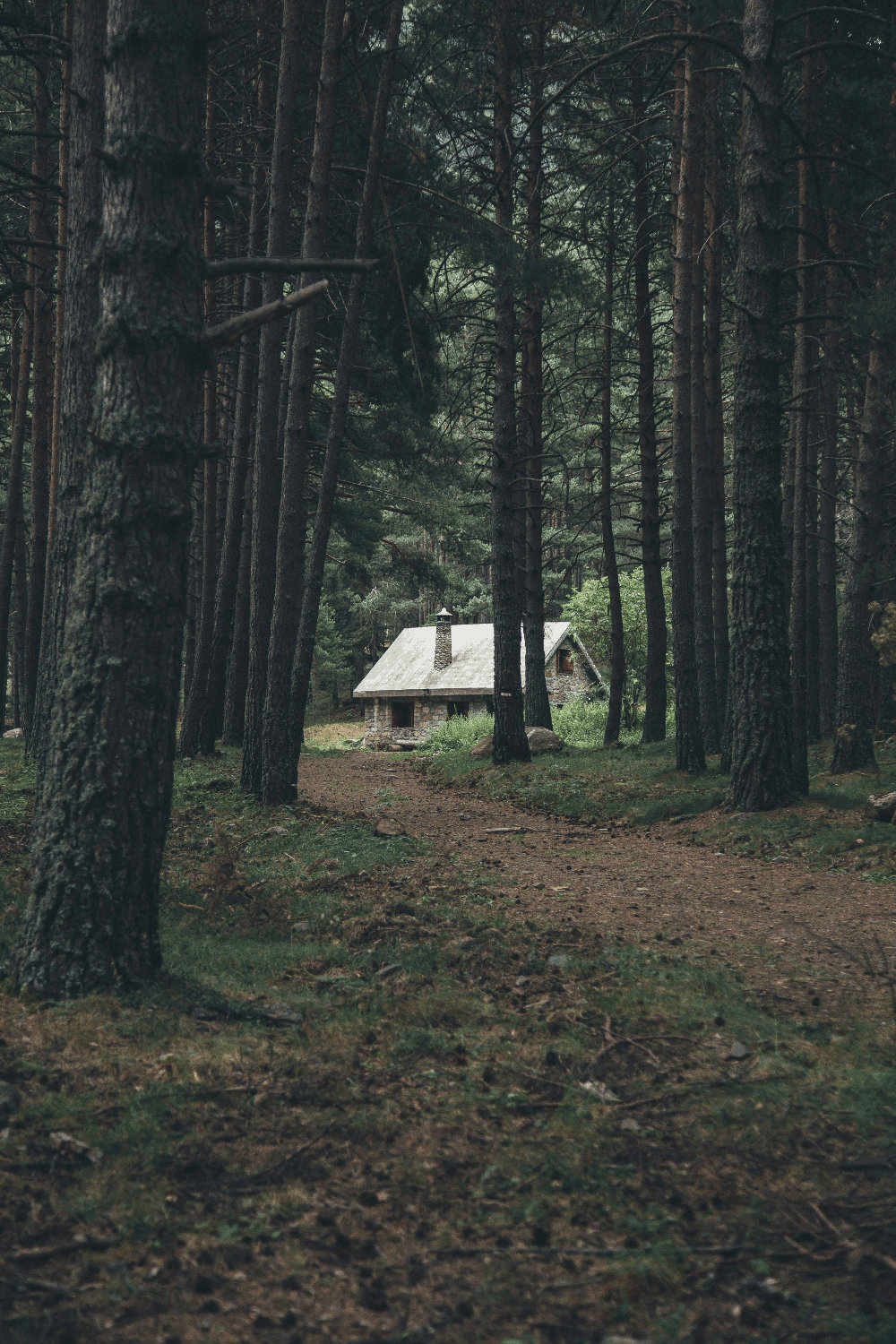 cottage in the woods by Mikel Ibarluzea